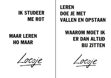 2 Loesjes over Leren